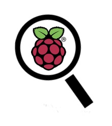 Raspberry Pi Logo